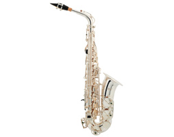 Bacio Instruments BAS-100SG