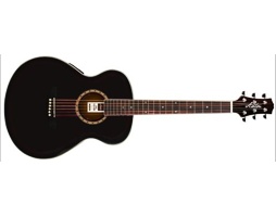 Ashton SL29
