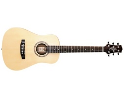 Ashton Mini20