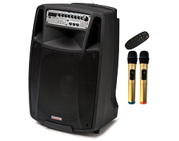 AudioDesign M2 15W/L
