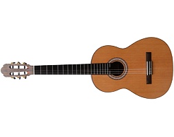 Prodipe Guitars LH Primera 4/4