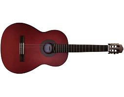 Virus VGC34